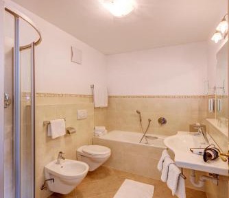 One-Bedroom Apartment with North/East View