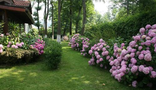 Villa with Garden View