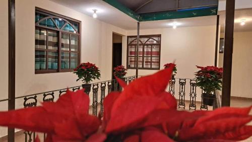 Twin Room with Balcony