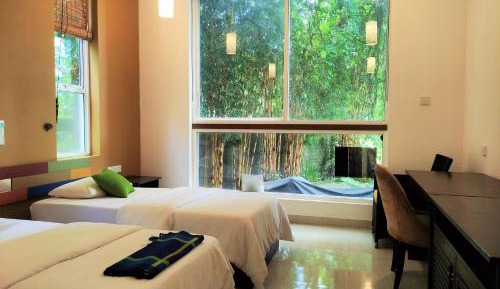 Double or Twin Room - Disability Access