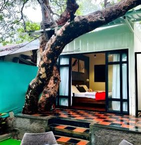 King Room with Garden View