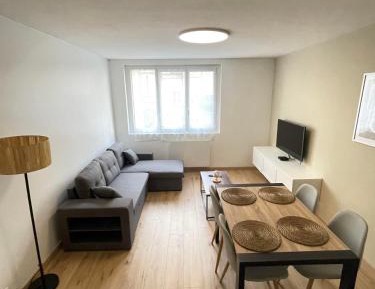 Superior Apartment