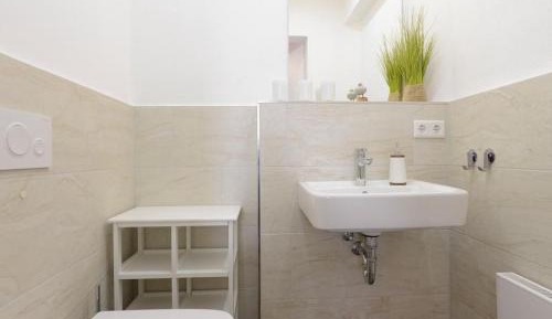 One-Bedroom Apartment with Shower