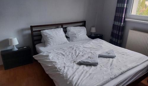 Superior One-Bedroom Apartment