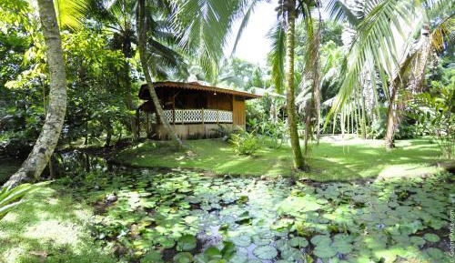 3 Bed Bungalow B