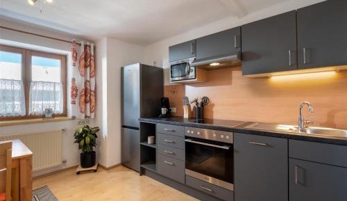 One-Bedroom Apartment with Shower