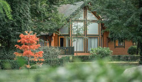 Deluxe Villa