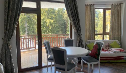 Apartment with Mountain View