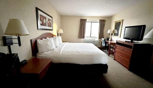 King Room - Non-Smoking
