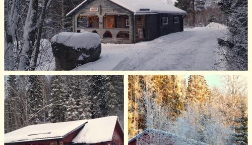 Bjorn - 4 Person 1 Bedroom Holiday Home