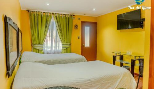 Twin Room