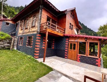 Triple Room with Mountain View