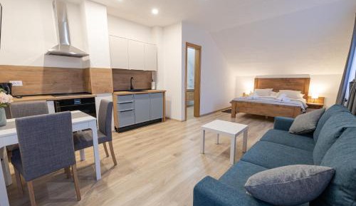 King Studio with Sofa Bed