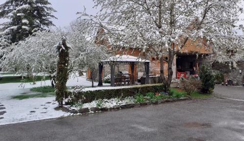 Two-Bedroom Chalet