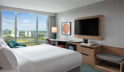 Deluxe King Room with Skyline View