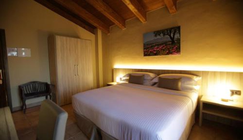 Superior Double or Twin Room with Terrace