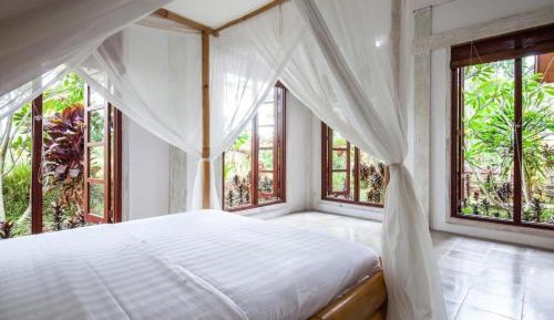 King Room with Pool View