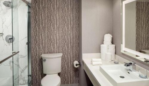One-Bedroom King Suite