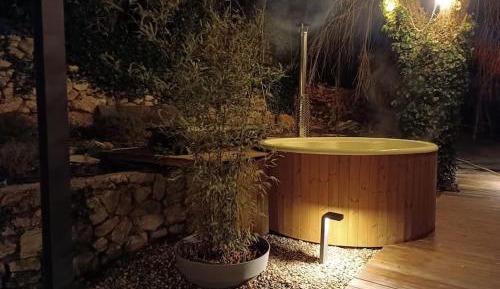 One-Bedroom Apartment with Garden