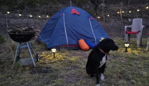 Tent