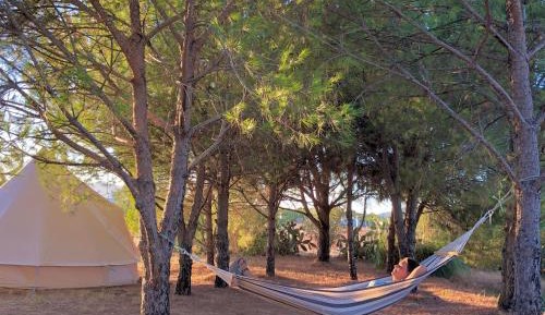 Tent