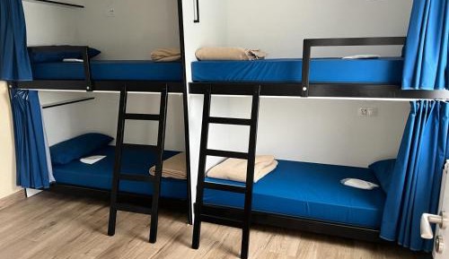 Bunk Bed in Mixed Dormitory Room