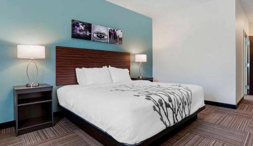King Room with Roll-In Shower - Disability Access/Non Smoking