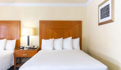 Queen Room with Two Queen Beds