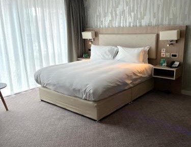 King Suite with Sofa Bed - Accessible