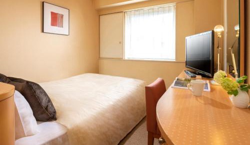 Deluxe Single Room - Smoking