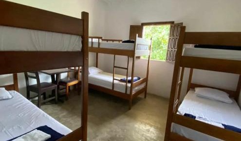 Bunk Bed in Mixed Dormitory Room
