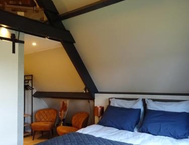 King Room with Garden View
