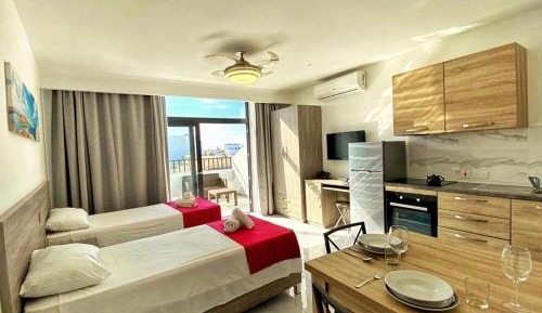 Penthouse Apartment