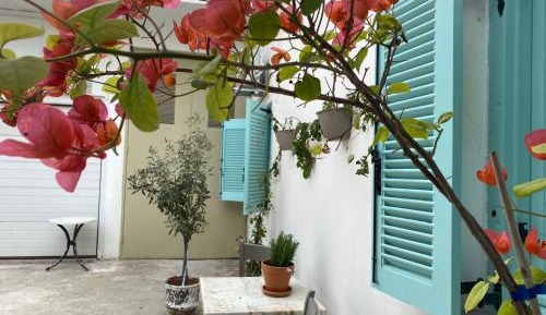 Apartment - Ground Floor