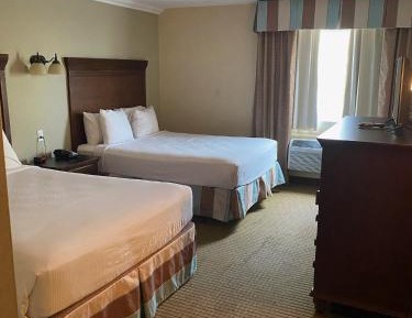 Standard Double Room