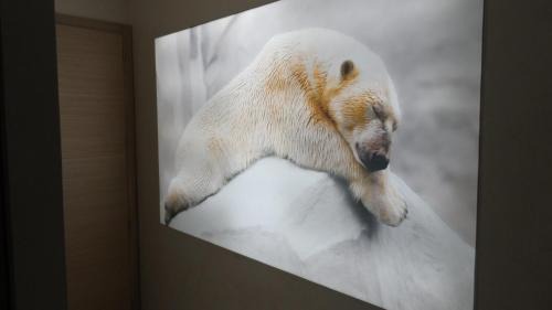 Suite with Sauna - Lake View - NANUQ