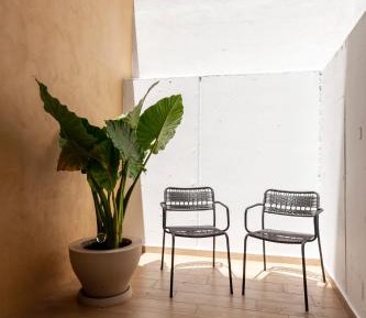 Stylish 1BR with Perfect deco in Polanco 