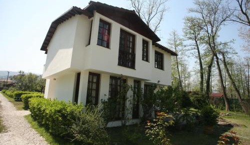 Superior Villa