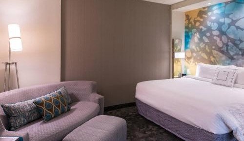 King Room with Sofa Bed and Roll-in Shower - Mobility and Hearing Accessible