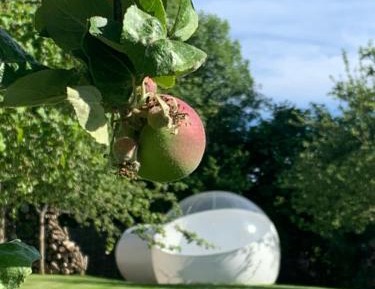 La Bulle 