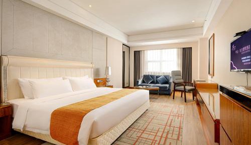 Elegant City View King Room