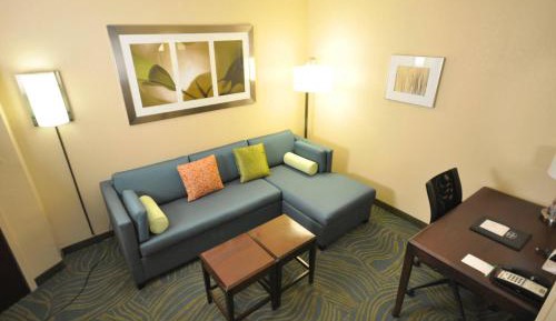 Studio, 1 King, Sofa bed, Moody Gardens view, Bay view
