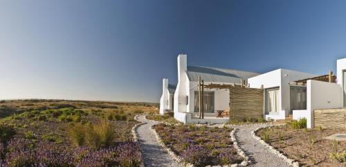 Nature King Suite
