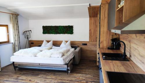 Apartment with Mountain View
