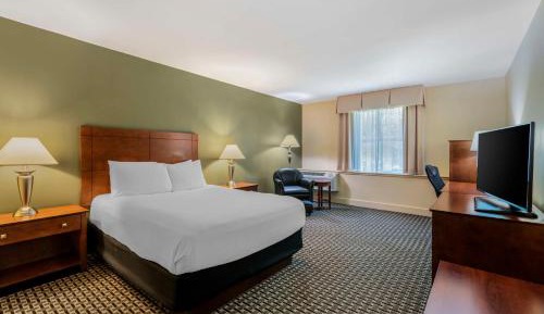 Queen Suite with Disability Access - Non Smoking