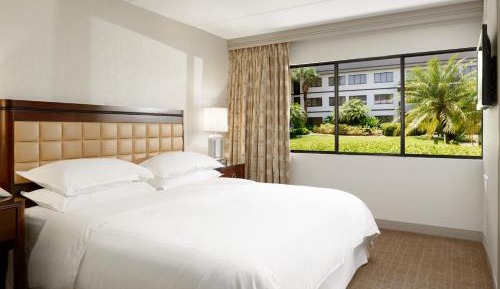 1 Bedroom Suite, 1 King, Sofa bed