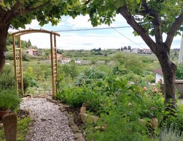 Studio with Garden View