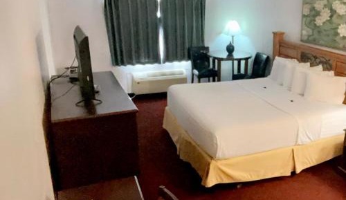 Deluxe King Suite - Non-Smoking