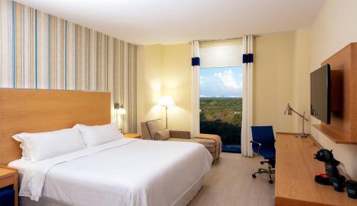 Deluxe, Guest room, 1 King, City view