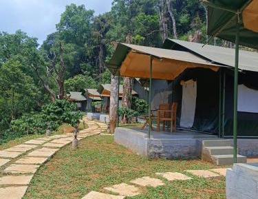 Premium Tented King Room